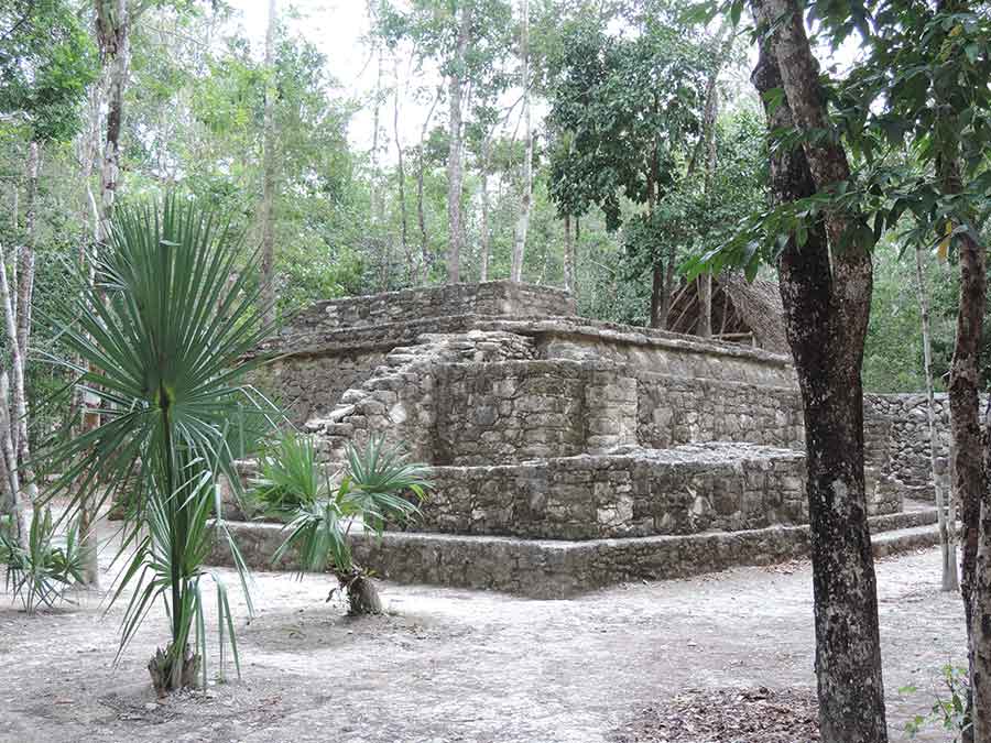 coba-ruins-jungle