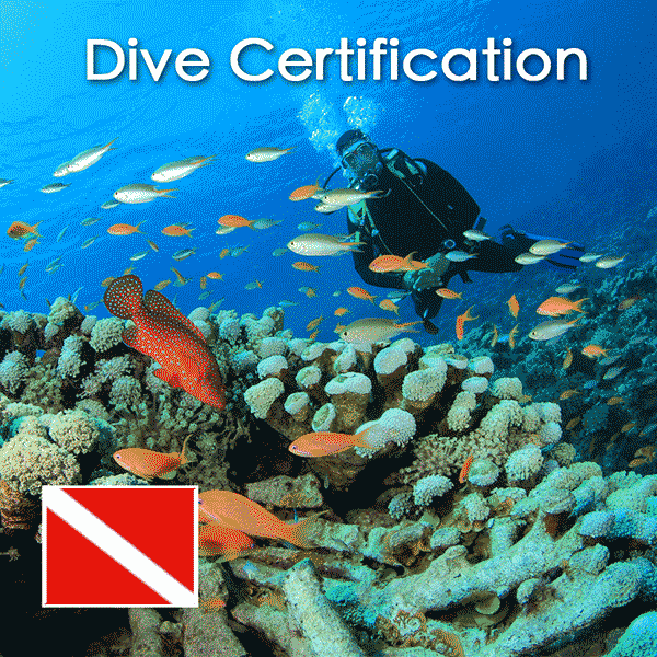 playa-del-carmen-dive-certification