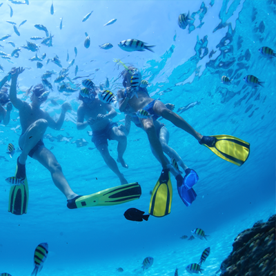 People enjoying a snorkel tour in tropical paradise