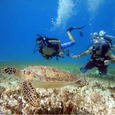 Scuba Diving Lessons Cancun