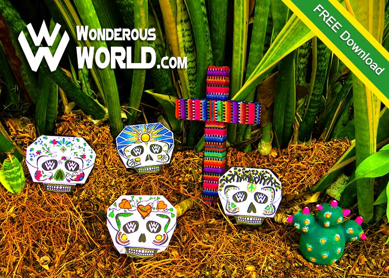 wonderous-world-skull-collection