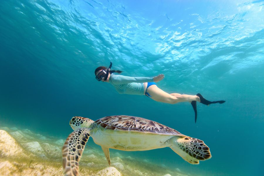 Underwater photo of young woman snorkeling and swimming with Haw
